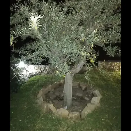 Mida كالاتابيانو