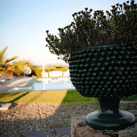 Mida Villa